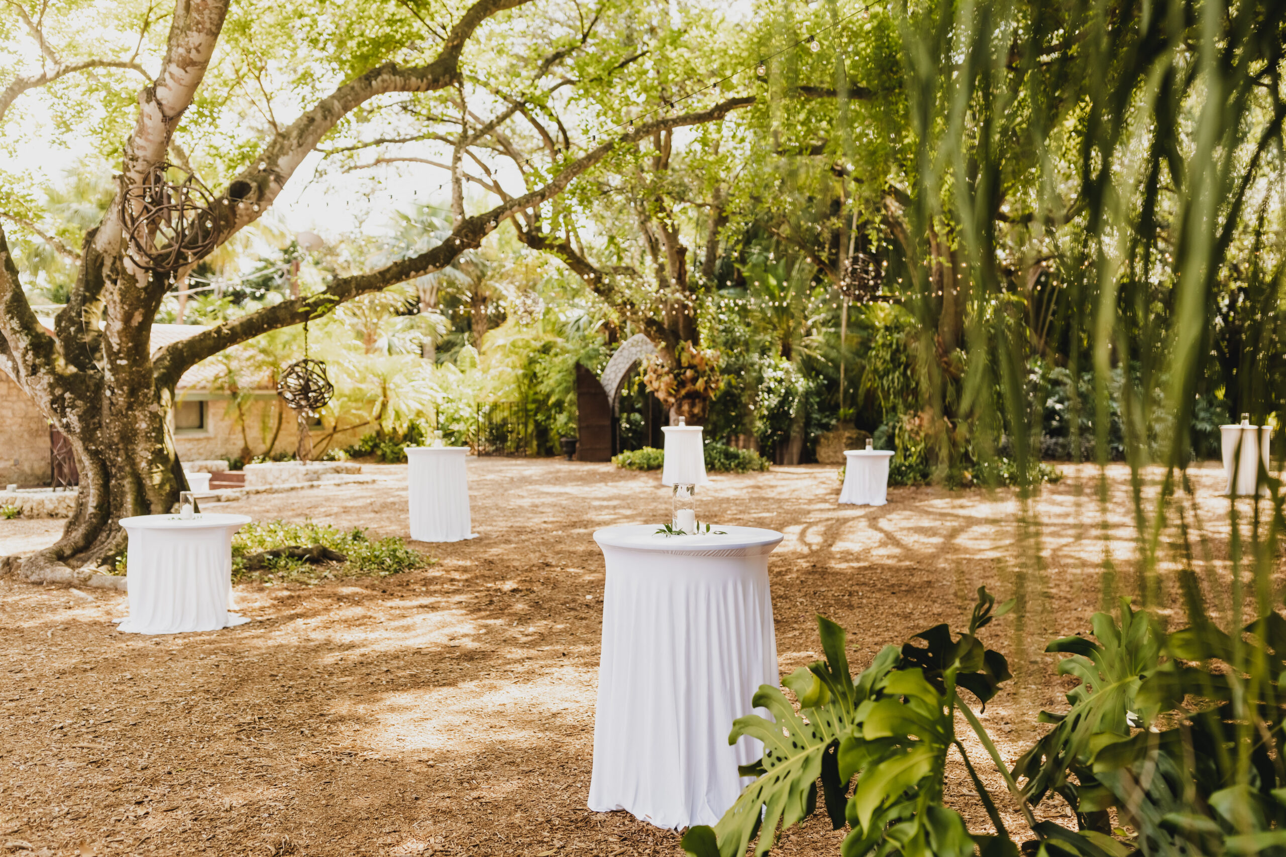 An outdoor space under palm trees